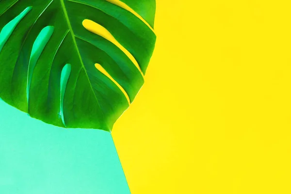 stock image Summer bright yellow blue flatlay on colorful background with leaf of monstera. Hard shadows and light. Top view. Flat lay. Trend style. Copyspace.