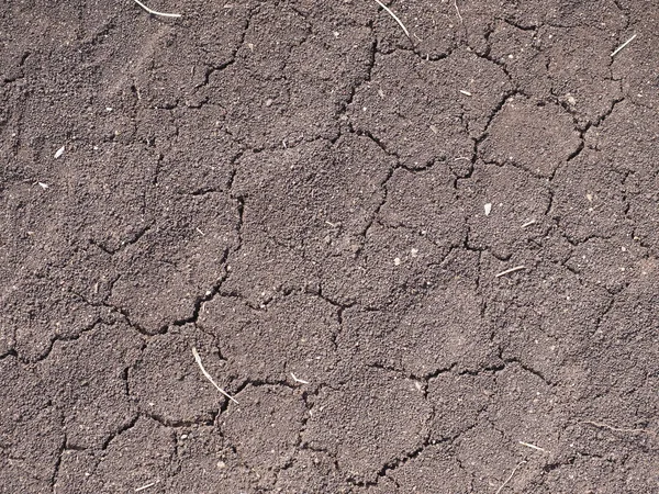 Scheuren in droge grond — Stockfoto