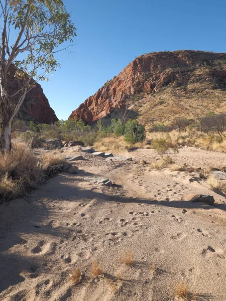 Am späten Nachmittag Outback im trockenen Flussbett bei Simpsons Gap the mcdonnell range — Stockfoto