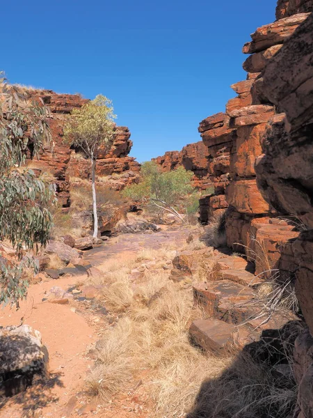 Havuzları yürüyüş zinciri