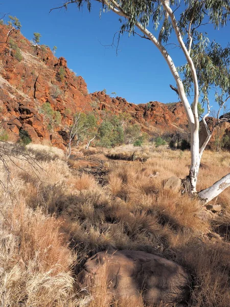 N 'Dhala Gorge cerca de Ross River Station — Foto de Stock