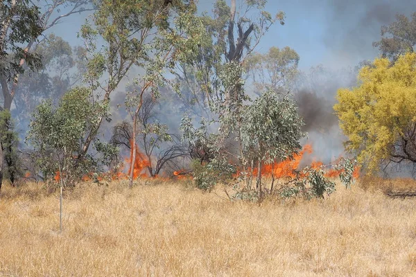 Pożar trawy w pobliżu Alice Springs — Zdjęcie stockowe