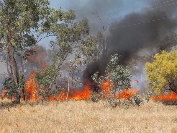 Pożar trawy w pobliżu Alice Springs — Zdjęcie stockowe