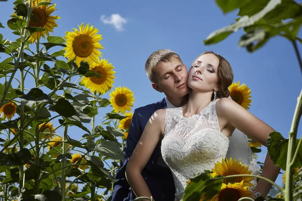 Boda novia y novio en trajes hermosos en el campo con s — Foto de Stock