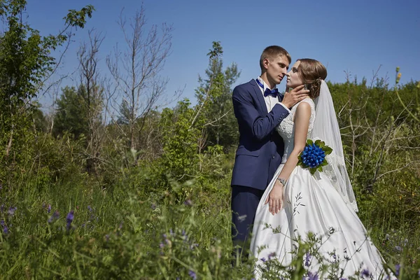 Boda novia y novio en hermosos vestidos en la naturaleza de th — Foto de Stock