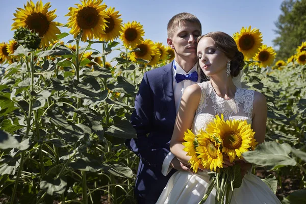 Boda novia y novio en trajes hermosos en el campo con s — Foto de Stock