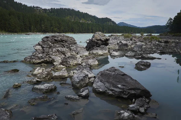 La bella natura in estate in montagna . — Foto Stock