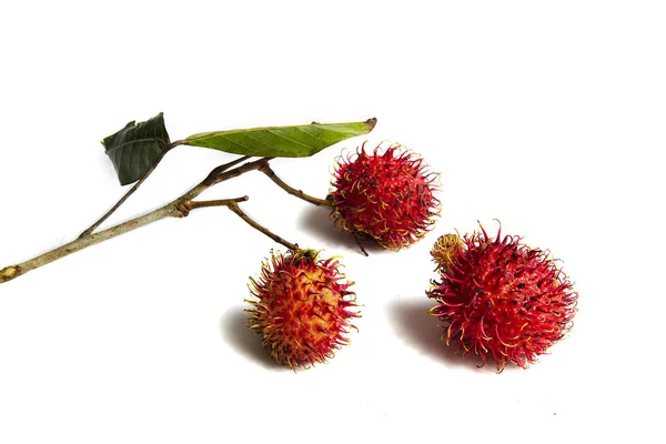 Dragons de fruits tropicaux juteux, savoureux, appétissants sur fond blanc Photo De Stock