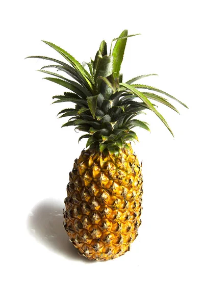 Juteux, savoureux, appétissant, fruits tropicaux d'ananas sur un blanc Photos De Stock Libres De Droits