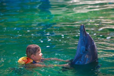 Bir çocuk, Bebek, manken yunuslarla yıkıyor. Adam, bir memeli bir do