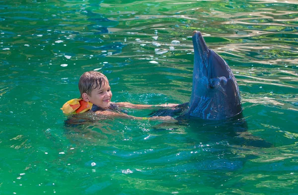 Ένα αγόρι, ένα μωρό, ένα μοντέλο λούζει με δελφίνια. Ο άνθρωπος, ένα θηλαστικό, ένα do — Φωτογραφία Αρχείου