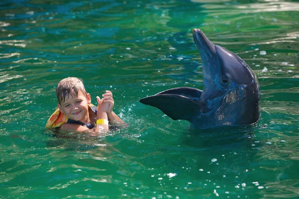 Хлопчик, дитина, модель купається з дельфінами. Чоловік, ссавець, до — стокове фото
