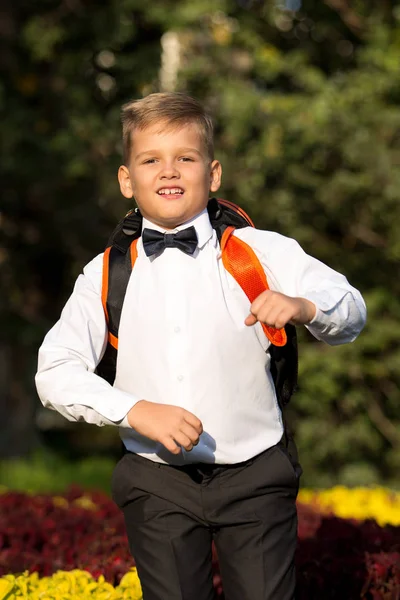 Bir çocuk, bir evrak çantası ile bir öğrenci, bir sırt çantası içinde t portresi