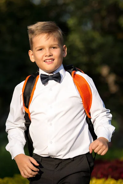 Bir çocuk, bir evrak çantası ile bir öğrenci, bir sırt çantası içinde t portresi