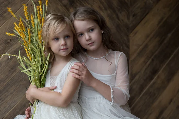 İki kız, kız, kız kardeşler, f ile fotoğraf stüdyosu modellerinde