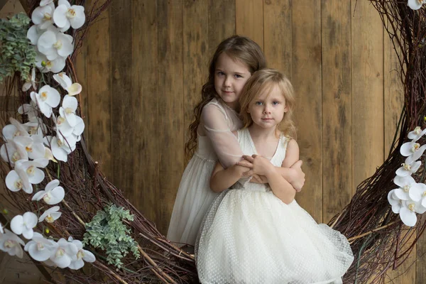 Two girls, girlfriends, sisters, models in a photo studio with f — Stock Photo, Image