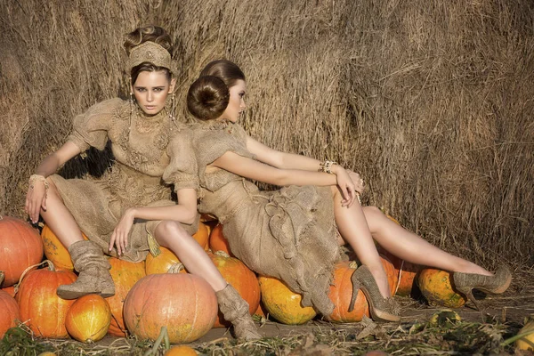 Two beautiful girls, models, friends in beautiful rural dresses