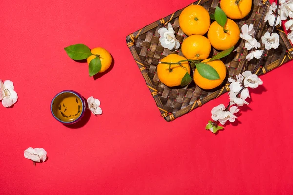 Laranja para o Ano Novo Lunar Chinês. Conceito de férias Tet . — Fotografia de Stock