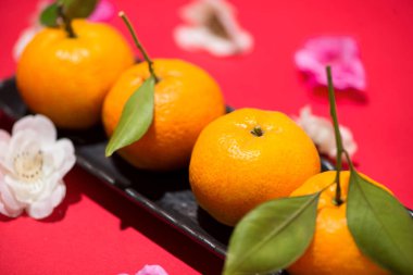 Çin Yeni Yıl Dekorasyonu. 