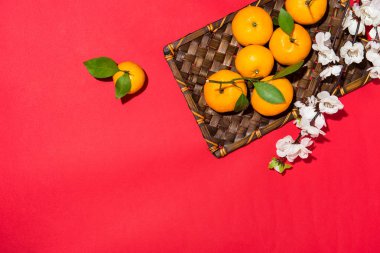 mandalina pembe bir arka plan üzerinde