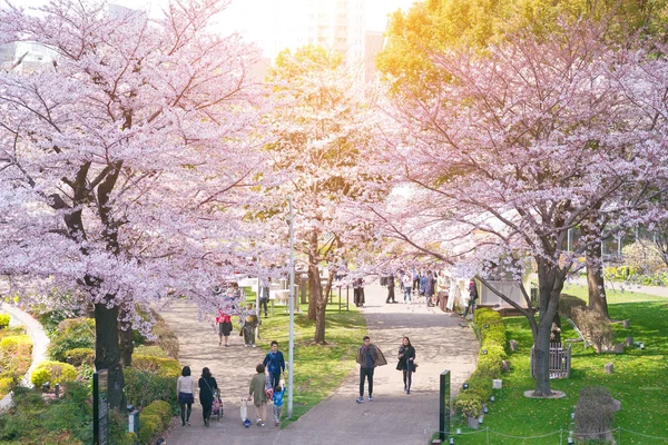 東京ミッドタウン, 日本 - 4 月 1 日 — ストック写真