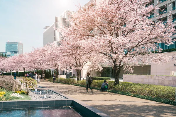 TOKIO MIDTOWN, JAPÓN - 1º DE ABRIL: Los turistas no identificados disfrutan — Foto de Stock