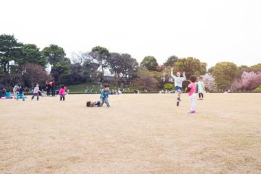 Kiraz çiçeği sırasında Park'ta ziyaretçi 