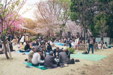 Kiraz çiçekleri Festivali zevk kalabalık