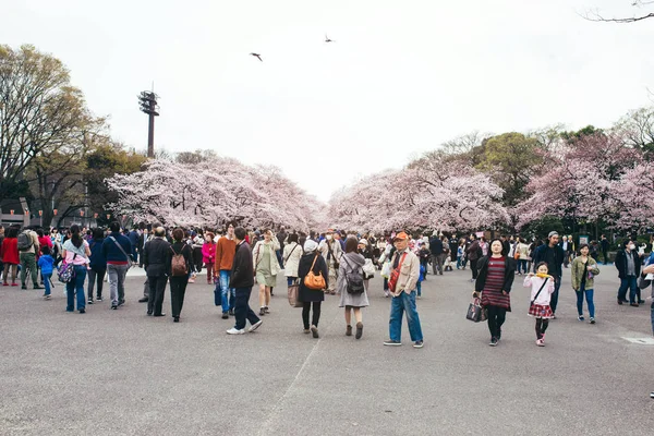 Tłum, ciesząc się festiwal wiśniowych kwiatów — Zdjęcie stockowe