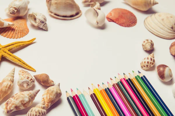 조개, 불가사리, 다채로운 연필 — 스톡 사진