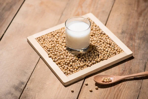 Soy mjölk och bönor — Stockfoto