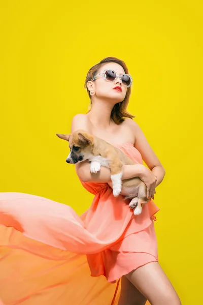 Menina com filhote de cachorro corgi — Fotografia de Stock