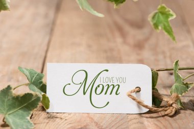 Anneler günü kartı ve yeşil yaprakları