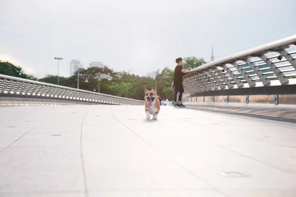 Sport girl with dog — Stock Photo, Image