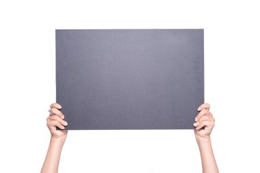 Kara tahta holding eller