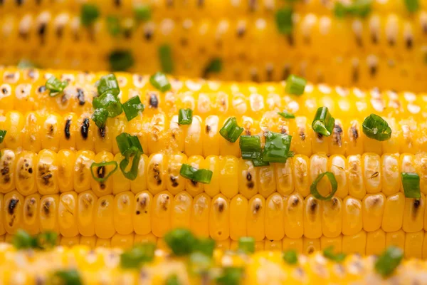 Grilled corn with sauce — Stock Photo, Image