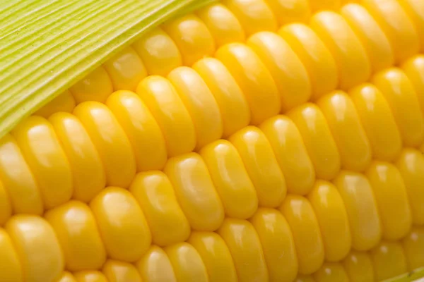 Zbliżenie z kukurydzy cob — Zdjęcie stockowe