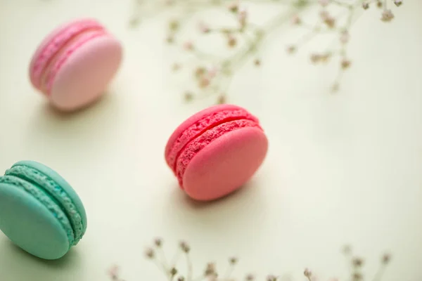 Colorful macaroons with flowers. — Stock Photo, Image