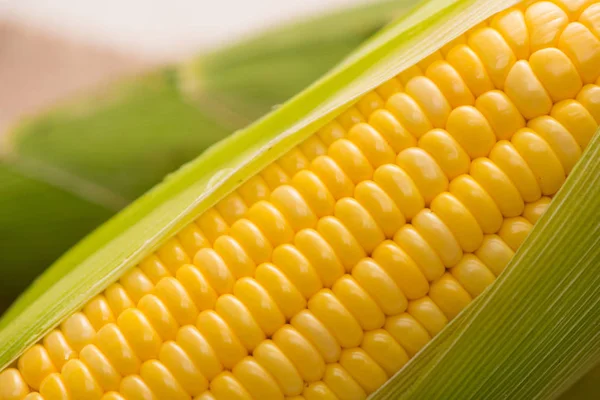 Közelkép a kukorica csutka — Stock Fotó