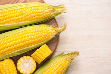 taze mısır koçanı