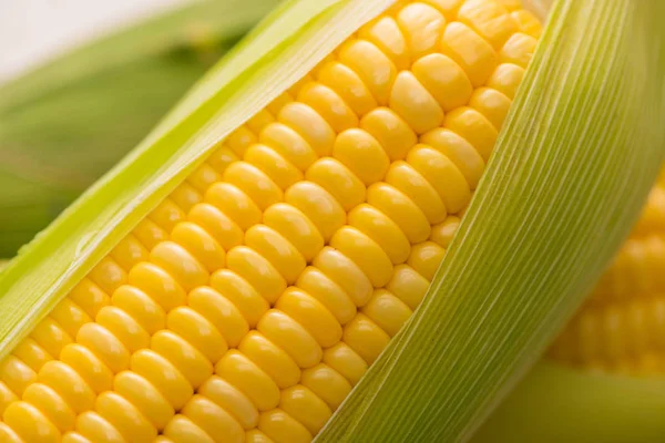 Közelkép a kukorica csövek — Stock Fotó