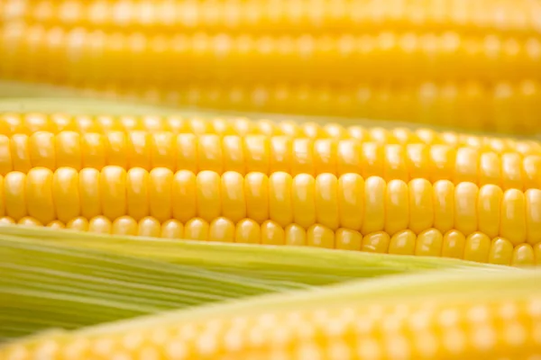 Крупним планом кукурудзяні камери — стокове фото