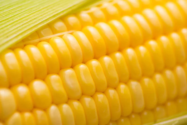 Zbliżenie z kukurydzy cob — Zdjęcie stockowe
