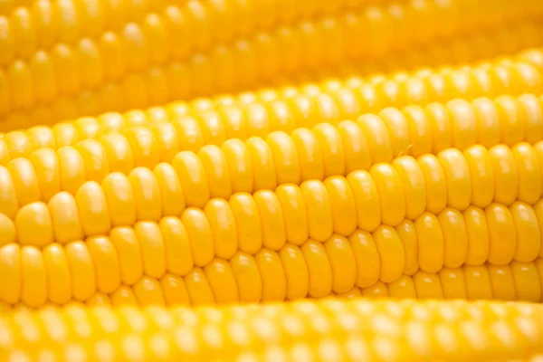 Zbliżenie z kolb kukurydzy — Zdjęcie stockowe