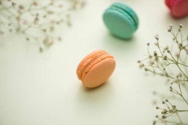 çiçekli renkli macaroons.