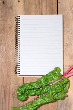 Defter ile swiss gökkuşağı pazı 