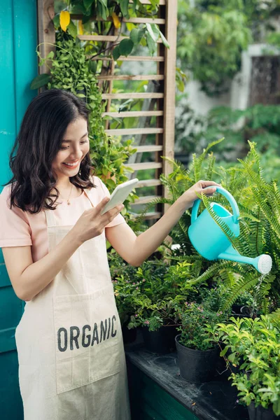 Vrouwelijke tuinman drenken planten — Stockfoto