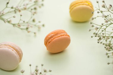 çiçekli renkli macaroons.