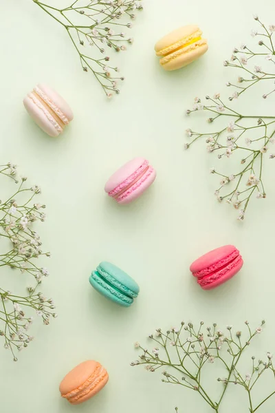 Macarons colorés avec des fleurs . — Photo