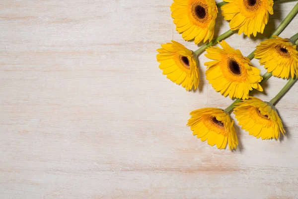 Tarjeta de felicitación con flores amarillas sobre fondo de madera. Parte superior vi —  Fotos de Stock